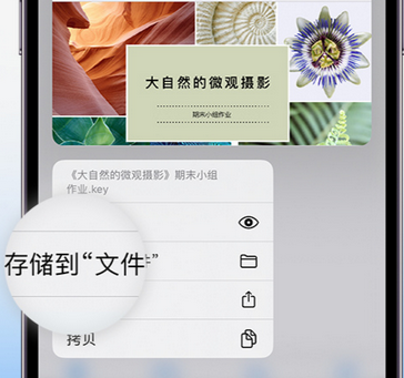 彭水apple维修中心分享iPhone文件应用中存储和找到下载文件