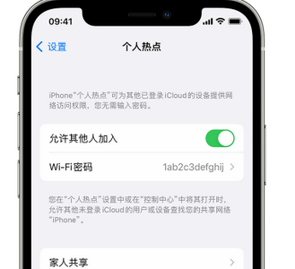 彭水apple服务站点分享iPhone上个人热点丢失了怎么办 