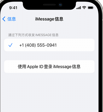 彭水apple维修iPhone上无法正常发送iMessage信息 