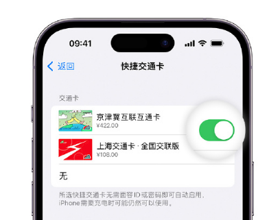 彭水apple维修点分享iPhone上更换Apple Pay快捷交通卡手绘卡面 