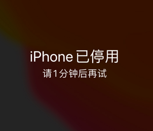 彭水苹果手机维修分享:iPhone 显示“不可用”或“已停用”怎么办？还能保留数据吗？ 