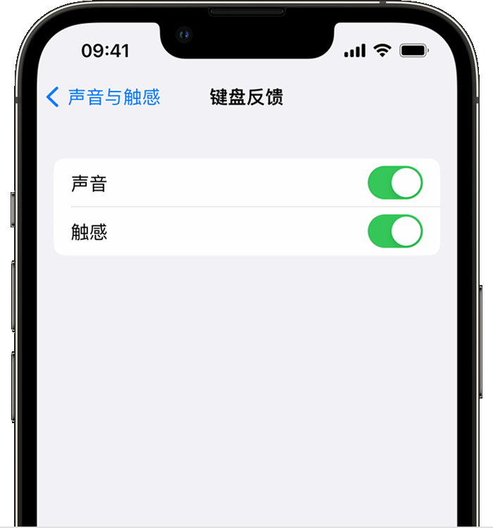 彭水苹果14维修店分享如何在 iPhone 14 机型中使用触感键盘 