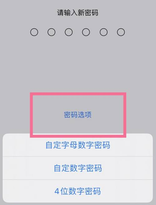 彭水苹果14维修分享iPhone 14plus设置密码的方法 