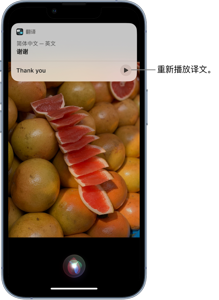 彭水苹果14维修分享 iPhone 14 机型中使用 Siri：了解 Siri 能帮你做什么 