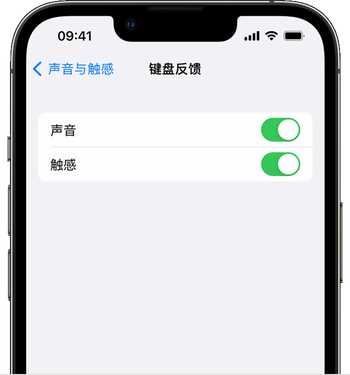 彭水苹果14维修分享iPhone 14 系列机型如何开启键盘声音或触感反馈 