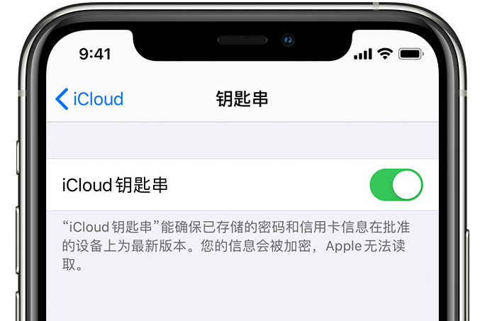 彭水苹果手机维修分享在 iPhone 上开启 iCloud 钥匙串之后会储存哪些信息 