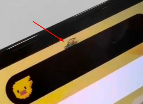 彭水苹果14维修分享iPhone 14 Pro Max灵动岛怎么养宠物 
