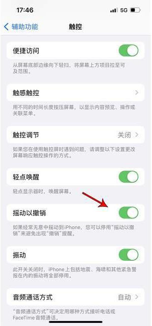 彭水苹果手机维修分享iPhone手机如何设置摇一摇删除文字 