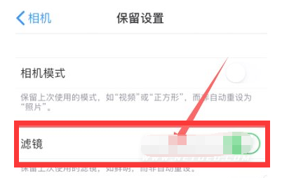 彭水苹果13维修分享iPhone13拍照有绿点是怎么回事 