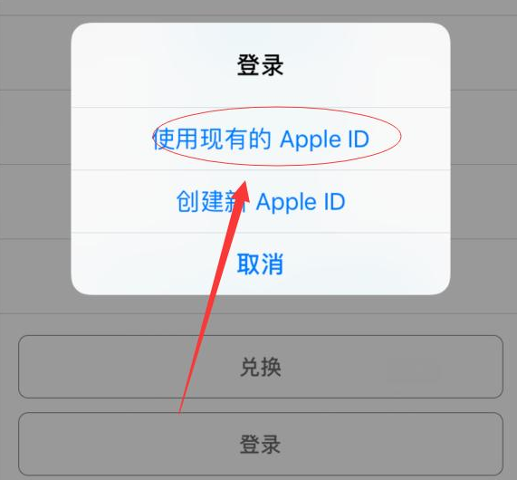 彭水苹果手机维修分享两台iPhone设备可以同时登录一个Apple ID吗 