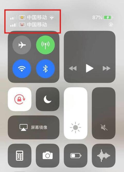 彭水苹果手机维修分享为 iPhone 12 双卡设置标签 